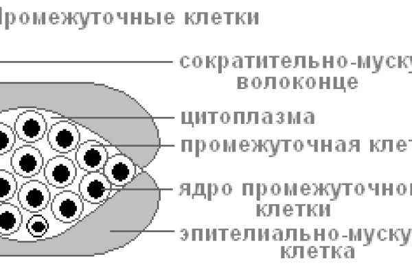 2krn at официальный